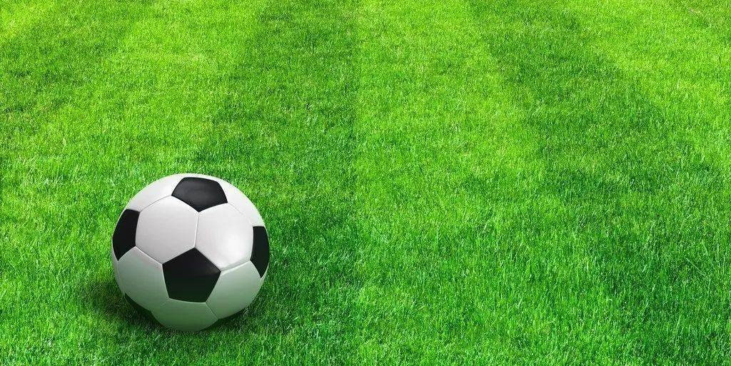 篮球比分篮球数据分析图表